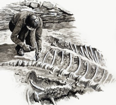 In the Days of the Dinosaurs: Battle of the Giants av English School