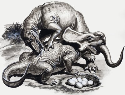 In the Days of the Dinosaurs: Discovery in the Desertswed av English School