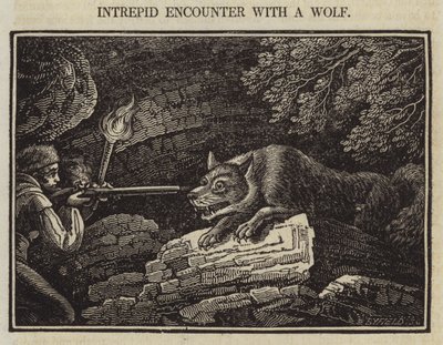 Intrepid Encounter with a Wolf (gravyr) av English School