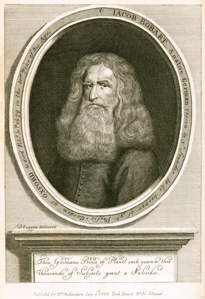 Jacob Bobart av English School