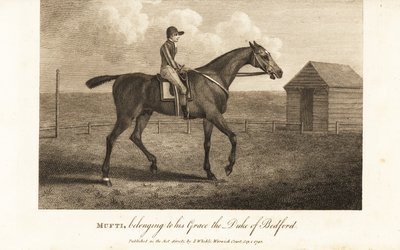 Jockey på den hyllade fullblodsracaren Mufti, tillhörande hans nåd hertigen av Bedford av English School