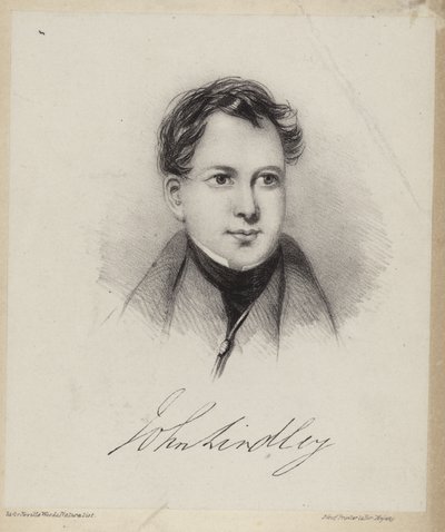 John Lindley av English School