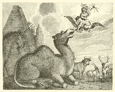 Jupiter och kamelen (gravyr) av English School