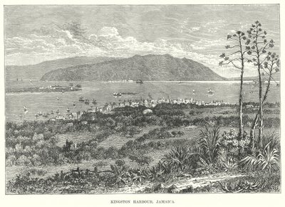 Kingston Harbour, Jamaica (gravyr) av English School