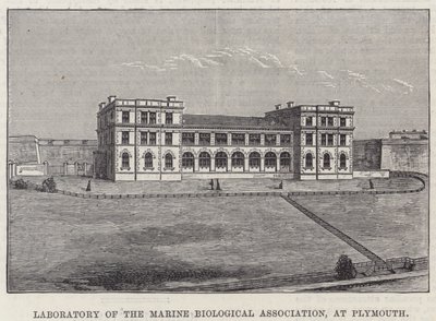 Laboratory of the Marine Biological Association, i Plymouth (gravyr) av English School