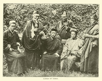 Lamor från Tibet av English School