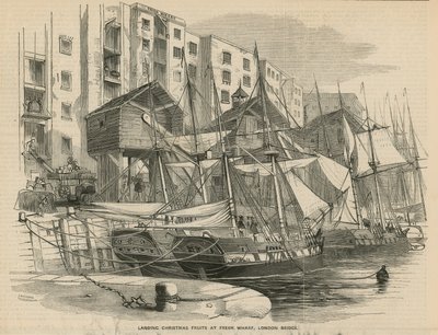 Landar julfrukter på Fresh Wharf av English School