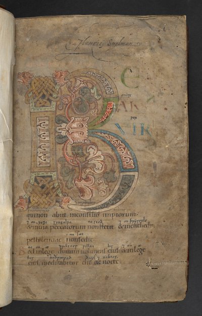 Stor initial med beast-head terminals, interlace och bladdekor i rosa, orange, gult, grönt och blått (vellum) av English School