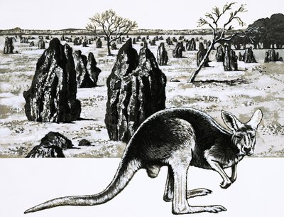 Stora termithögar nära Darwin, Australien, och en känguru i förgrunden av English School