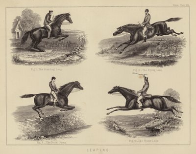 Hoppa (färg litho) av English School