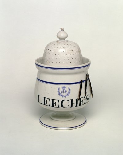 Leech burk (keramik) av English School