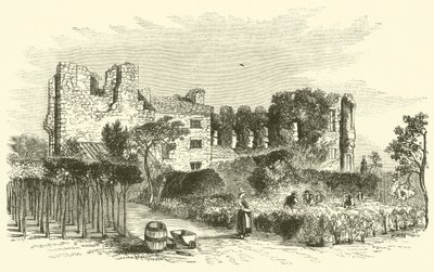 Leicester Abbey (gravyr) av English School
