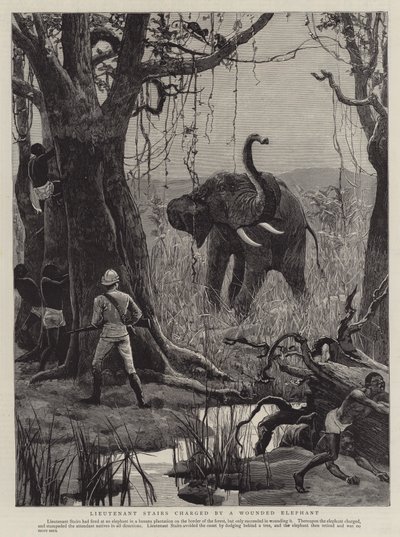 Lieutenant Stairs laddad av en sårad elefant (gravyr) av English School