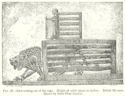 Lejon som kommer ut ur sin bur (gravyr) av English School