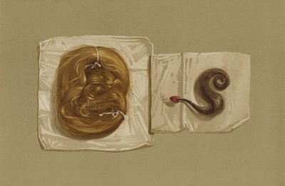 Lock of Hair of Mary Queen of Scots, Lock of Hair of King Charles I (chromolitho) av English School