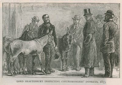 Lord Shaftesbury inspekterar åsnor från åsnor av English School