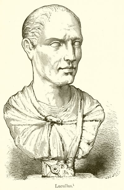 Lucullus av English School