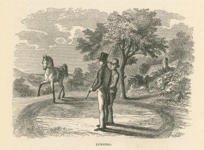 Lunging von English School