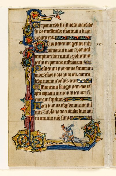 MS 1-2005, fol. 115v: En kanin som rider på en hund, jagar, marginaldekoration från Macclesfield Psalter, Use of Sarum, East Anglia, ca 1330 av English School