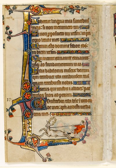 MS 1-2005, fol. 193v: A Stag Lassoed by a Man, marginell dekoration från Macclesfield Psalter, Use of Sarum, East Anglia, c.1330 av English School