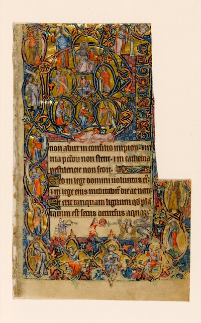 MS 1-2005, fol. 9r: The Tree of Jesse and the Beatus initial gräns med musiker och grotesk strid, från Macclesfield Psalter, Use of Sarum, East Anglia, c.1330 av English School