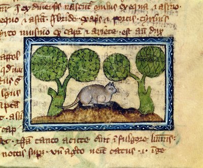 MS 379 f.12r En katt som hukar på en jordhög, detalj ur en bestiarium, engelska av English School