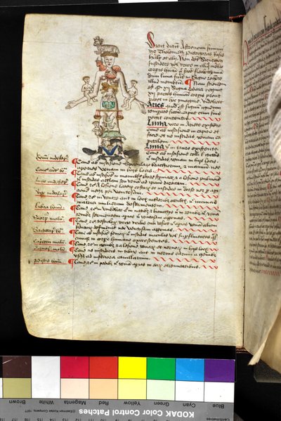 MS Hunter 251 f.47v, illustration av en 