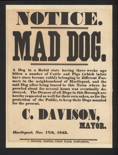 Mad dog notification, Hartlepool, 1843 av English School