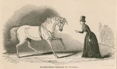 Mademoiselle Caroline på Vauxhall Gardens, London av English School
