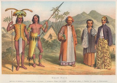 Malay Race (färggravyr) av English School