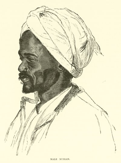 Nubian man av English School