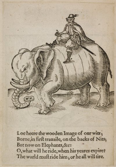 Man rider på en elefant, illustration från 