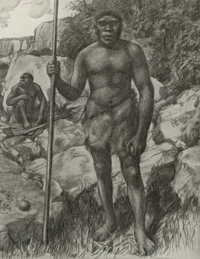 Man vars skalle upptäcktes i Rhodesia 1921 av English School