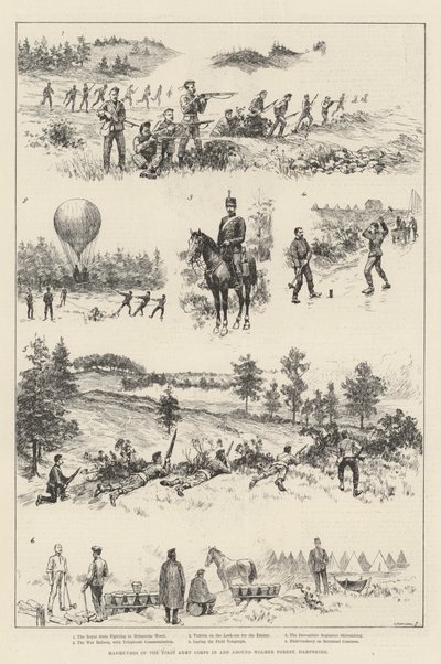Manövrar av First Army Corps i och runt Wolmer Forest, Hampshire (gravyr) av English School