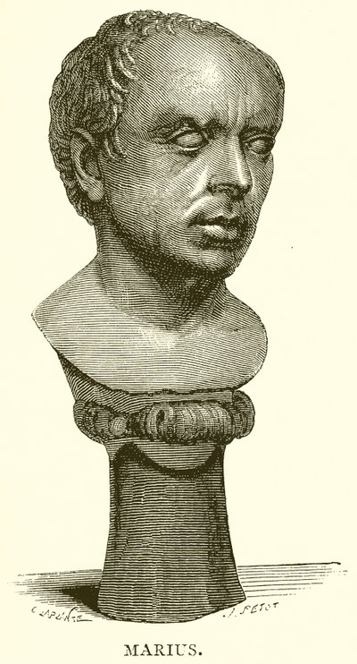Marius av English School