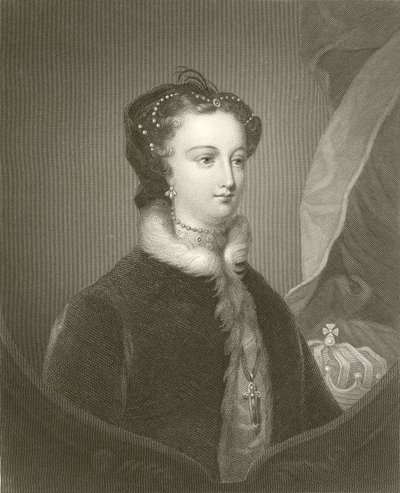 Mary Queen of Scots av English School