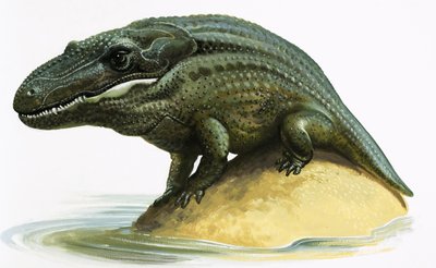 Mastodonsaurus av English School