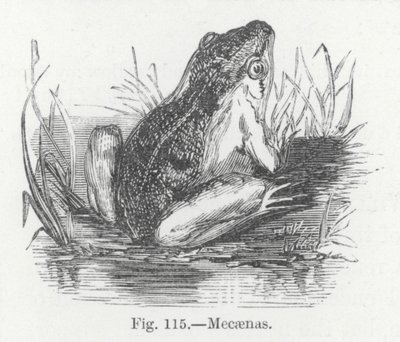 Mecaenas (gravyr) av English School