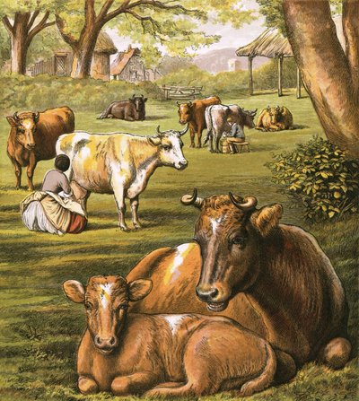 Mjölkande kor av English School