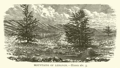 Libanons berg, Hosea, xiv, 5 (gravyr) av English School