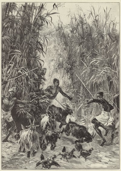Mr H. M. Stanleys Emin Pasha hjälpexpedition av English School
