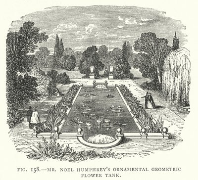 Mr Noel Humphreys dekorativa geometriska blomtank (gravyr) av English School