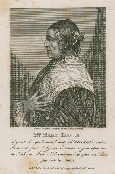 Mrs Mary Davis från stora Saughall nära Chester, 1668 av English School