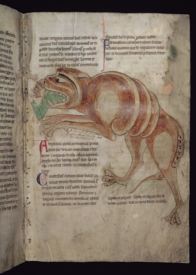 Ms.254 f.24 r Cocodrillus sväljer en man av English School