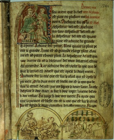 Ms.O.1.20.f.241v Jerome: En läkare som besöker en patient och ett apotek, från 