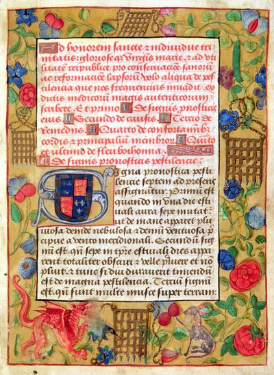 Ms 261 fol.1r Page från en samling pesttraktater på latin och engelska, ca 1500 av English School