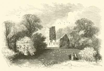 Mucruss Abbey (gravyr) av English School
