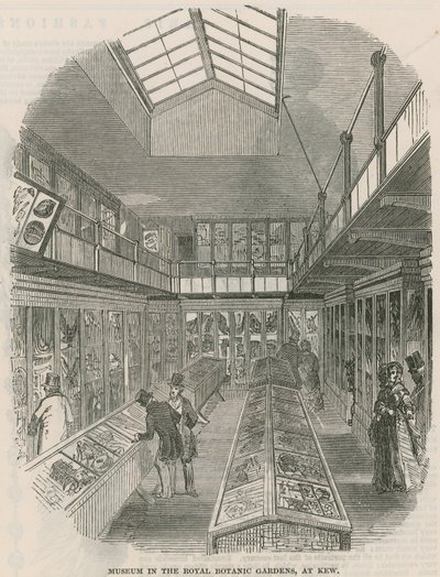 Museum i Royal Botanic Gardens, Kew av English School