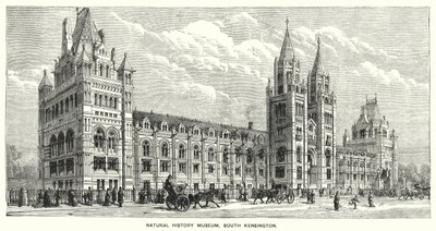 Natural History Museum, South Kensington (gravyr) av English School