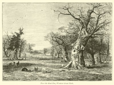 Nära Goat Pen, Windsor Great Park av English School